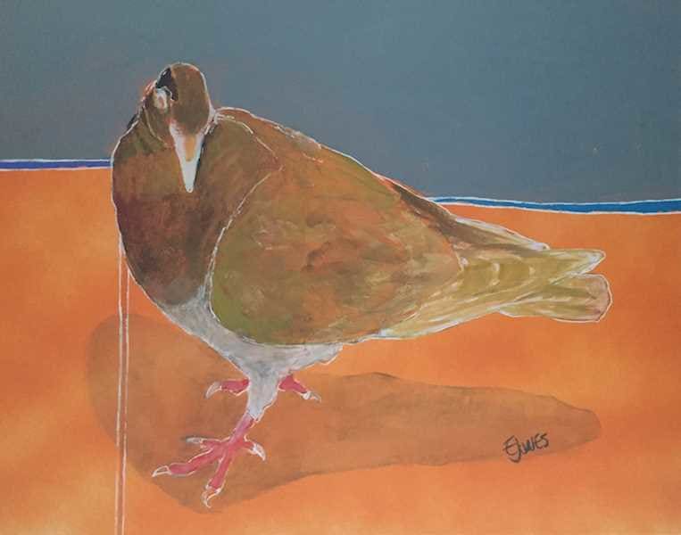 Ginger Pigeon with Blue Line by Eric Jones, Image 1.