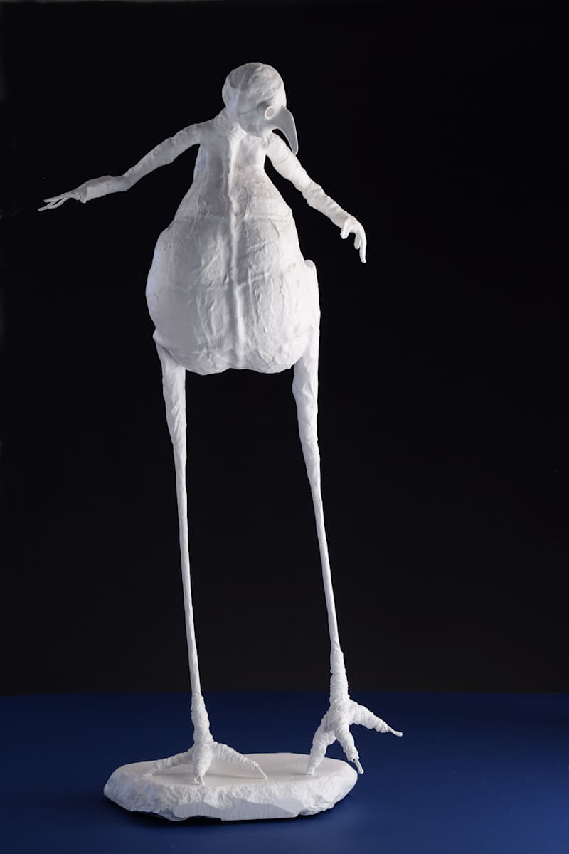 Ghost Bird by Chas Martin, Image 3.