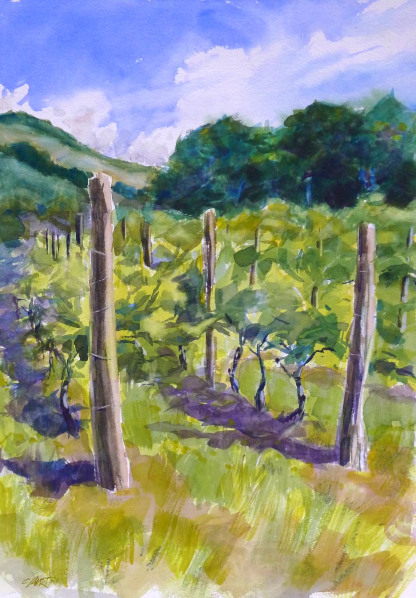 Ripening Vines by Chas Martin 