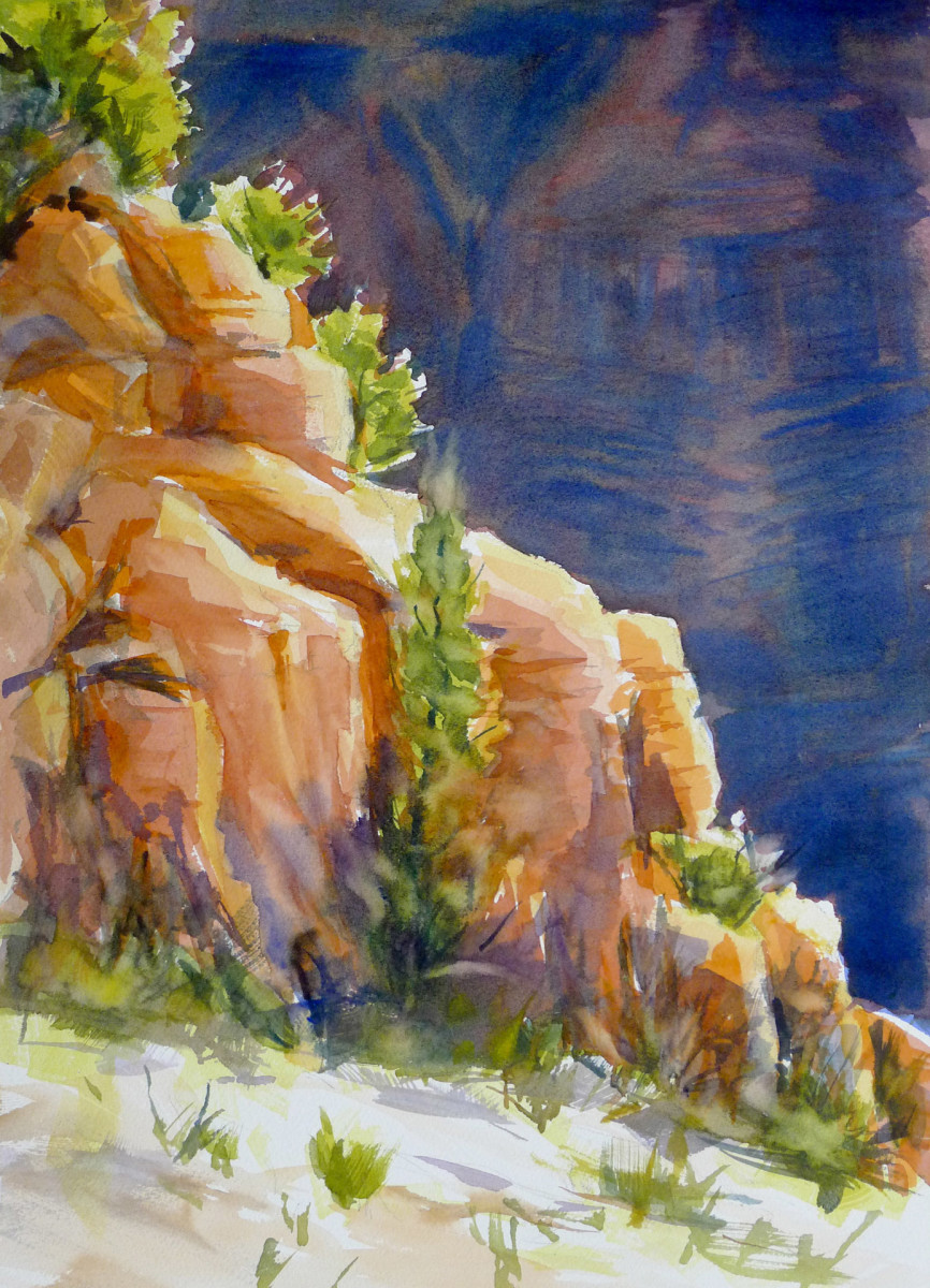 Cedar Ridge Grand Canyon by Chas Martin 