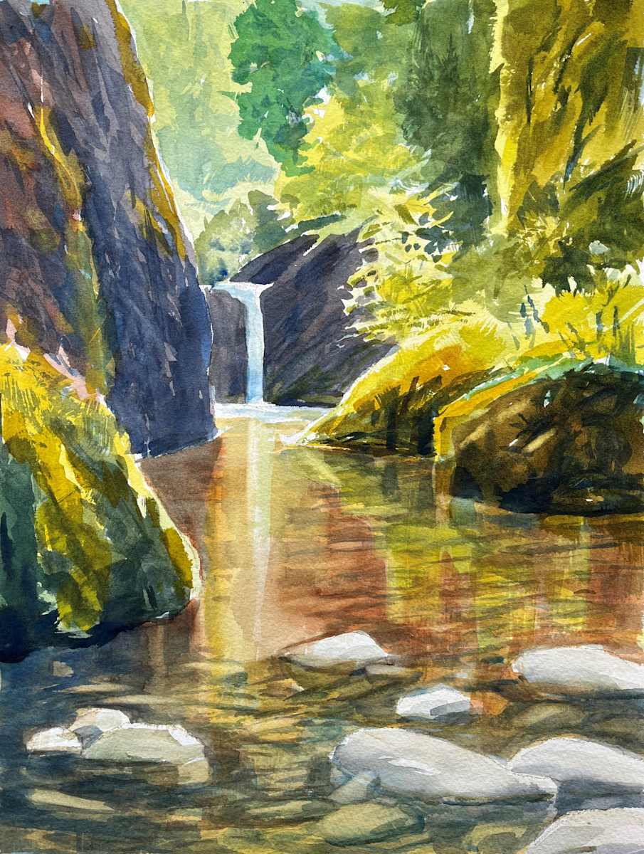 Punchbowl Falls by Chas Martin 