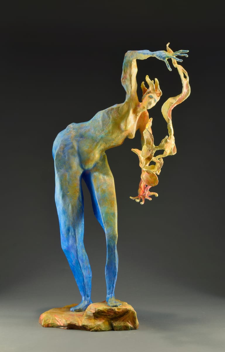 Wisdom by Chas Martin 