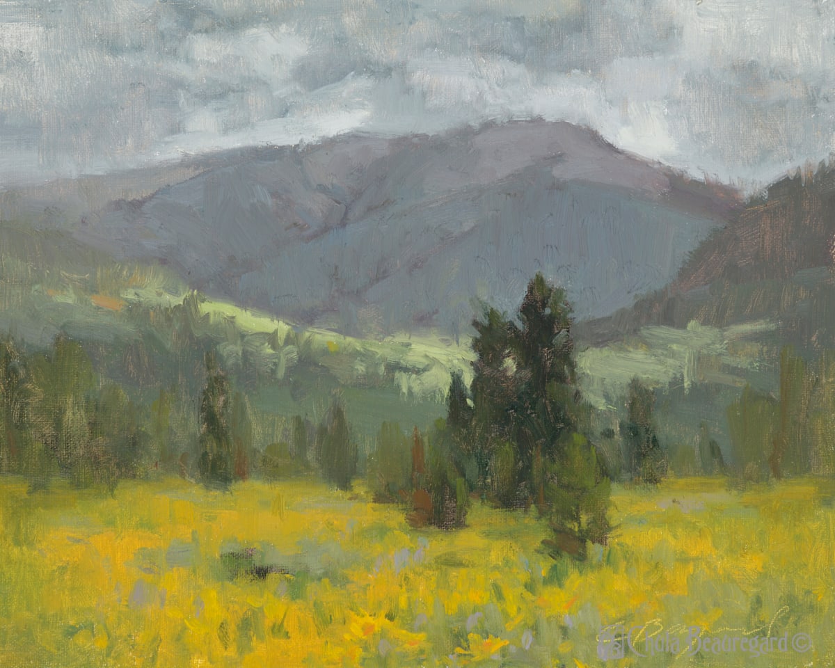 Between Storms by Chula Beauregard 