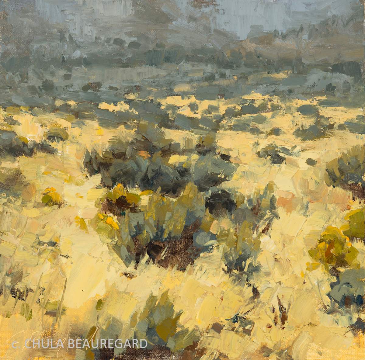 Bobcat Ranch by Chula Beauregard 