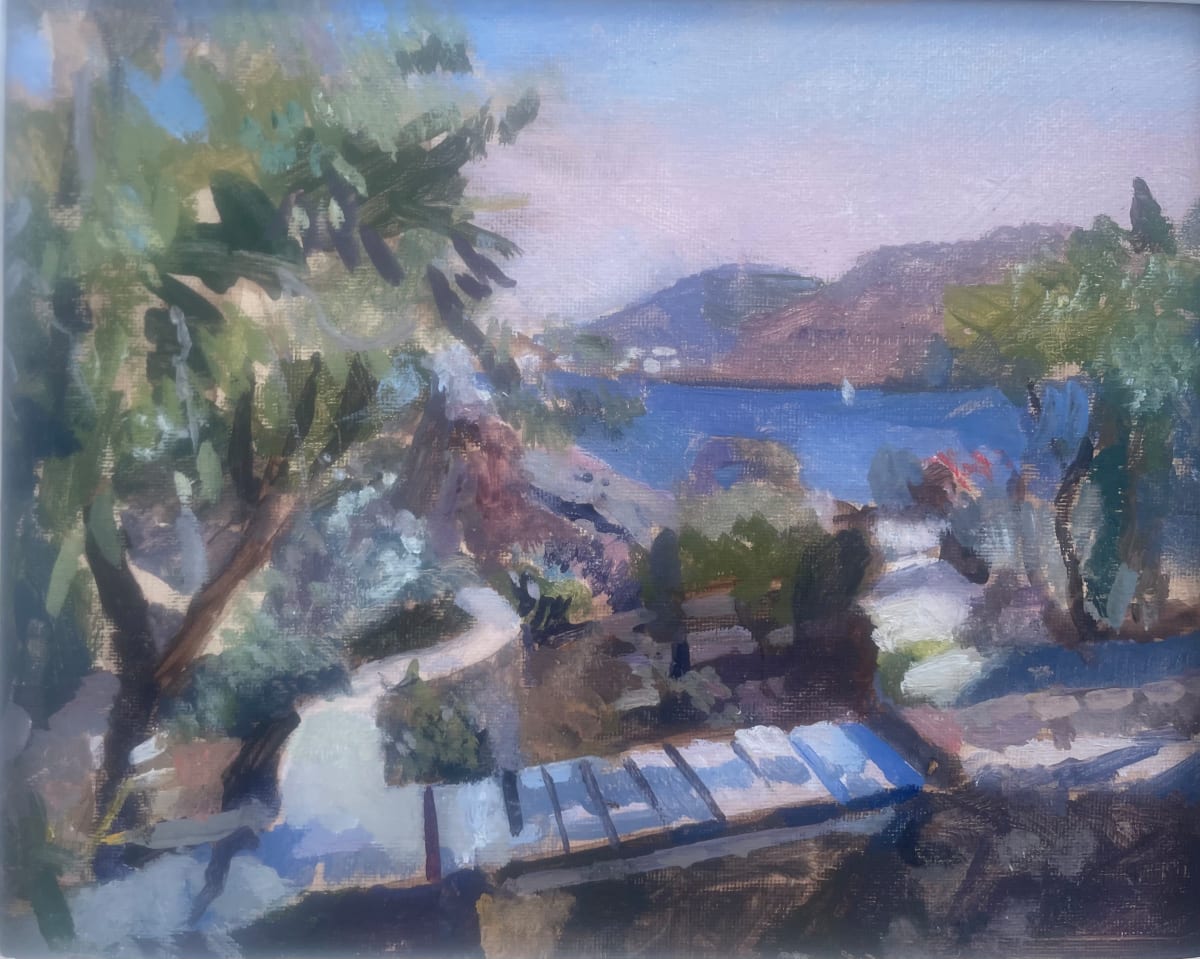 Antoine Silber's Garden, Patmos. Greece by Alan Lancaster 