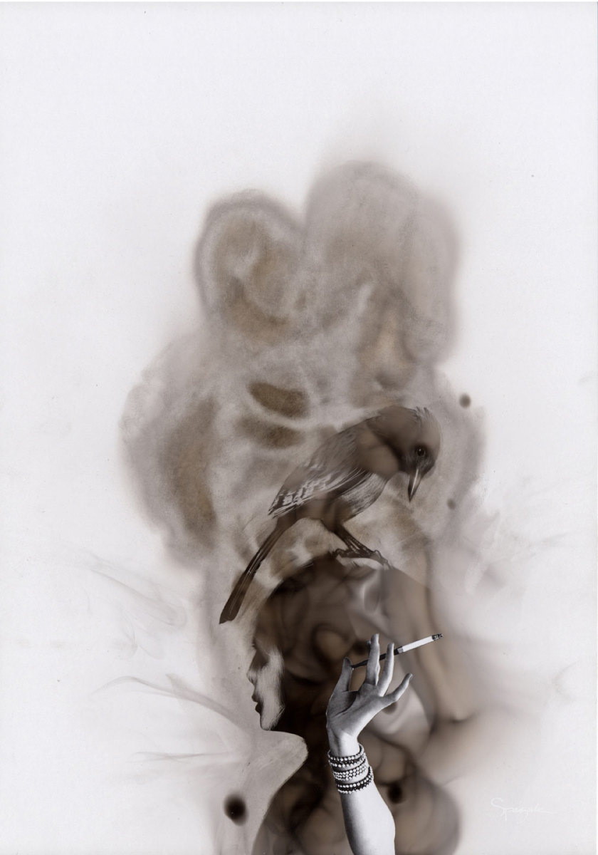 Arrogance ou Ignorance by Steven Spazuk 