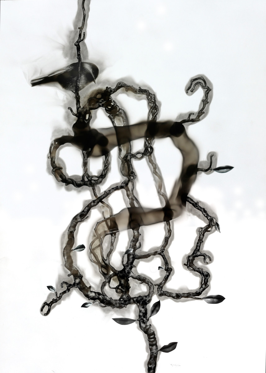 Perte de mémoire by Steven Spazuk 