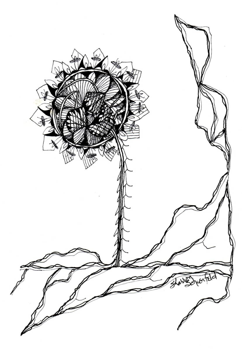 Captivating by Sharron Schoenfeld, Image 1.