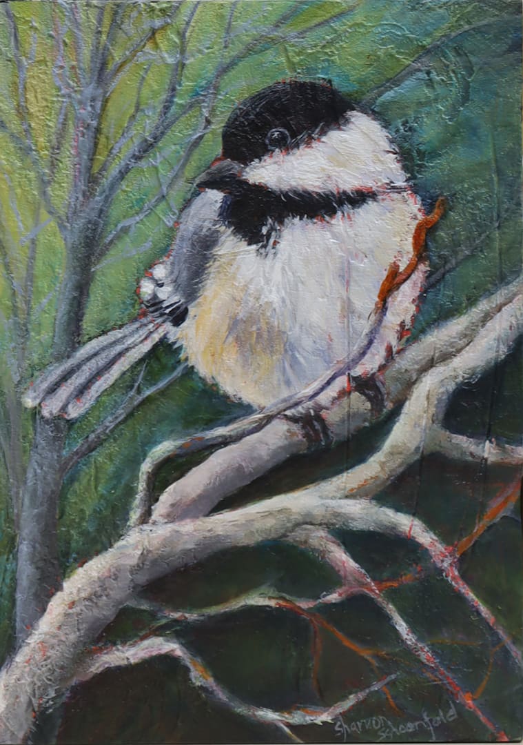 Chickadee 6 by Sharron Schoenfeld 