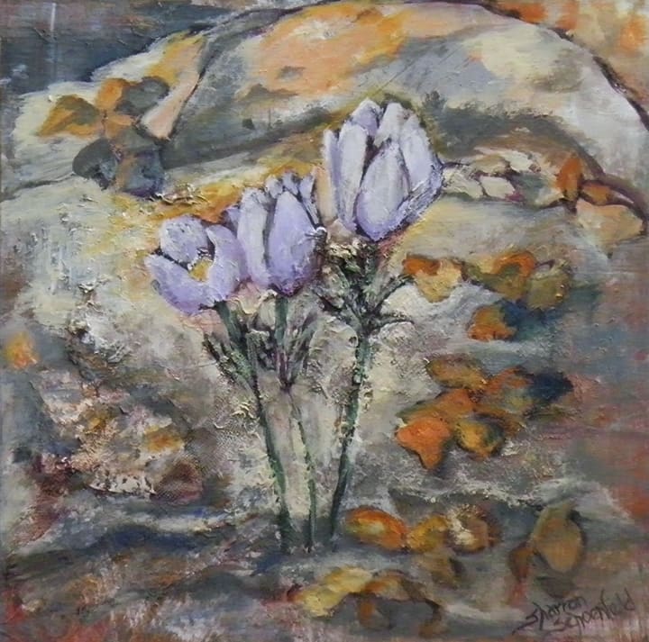 Crocus by Sharron Schoenfeld 