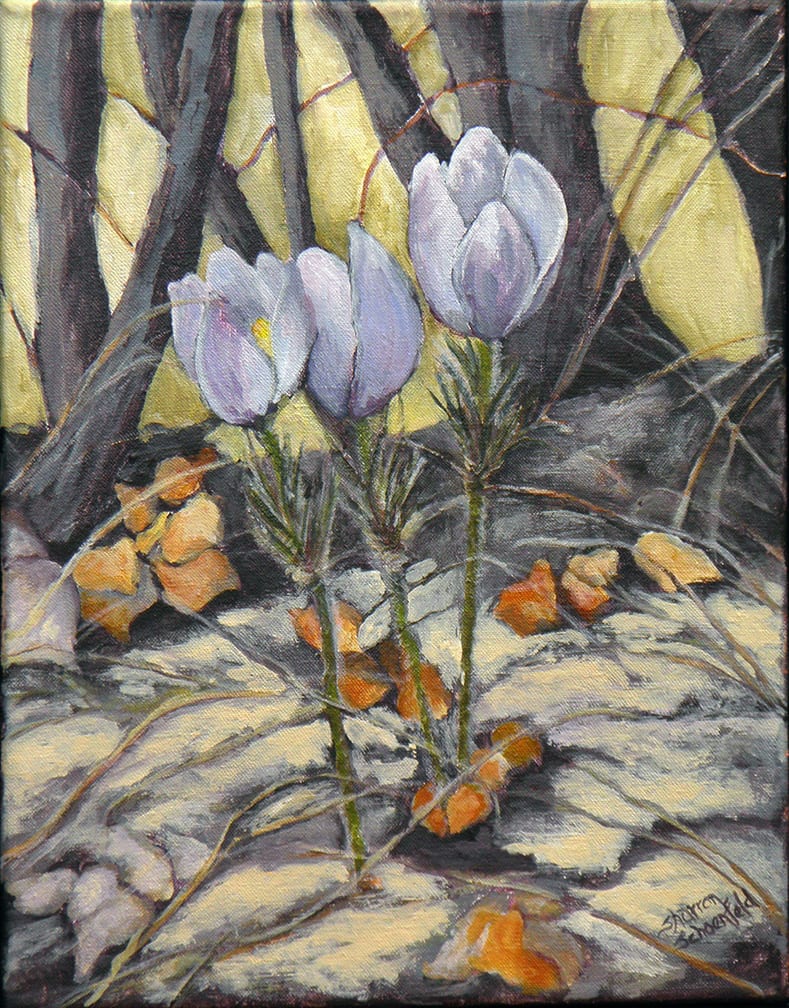 Crocus 2 