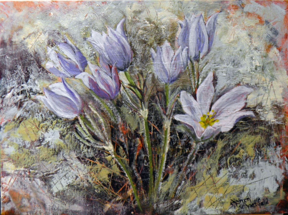 Crocus 4 