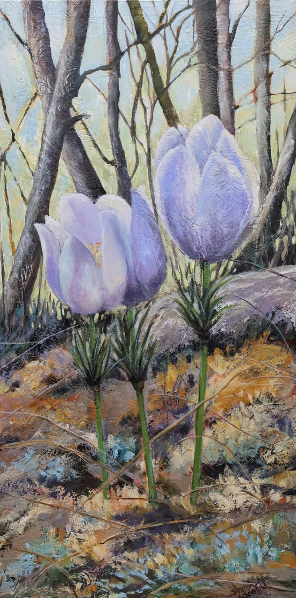 Crocus 7 by Sharron Schoenfeld 