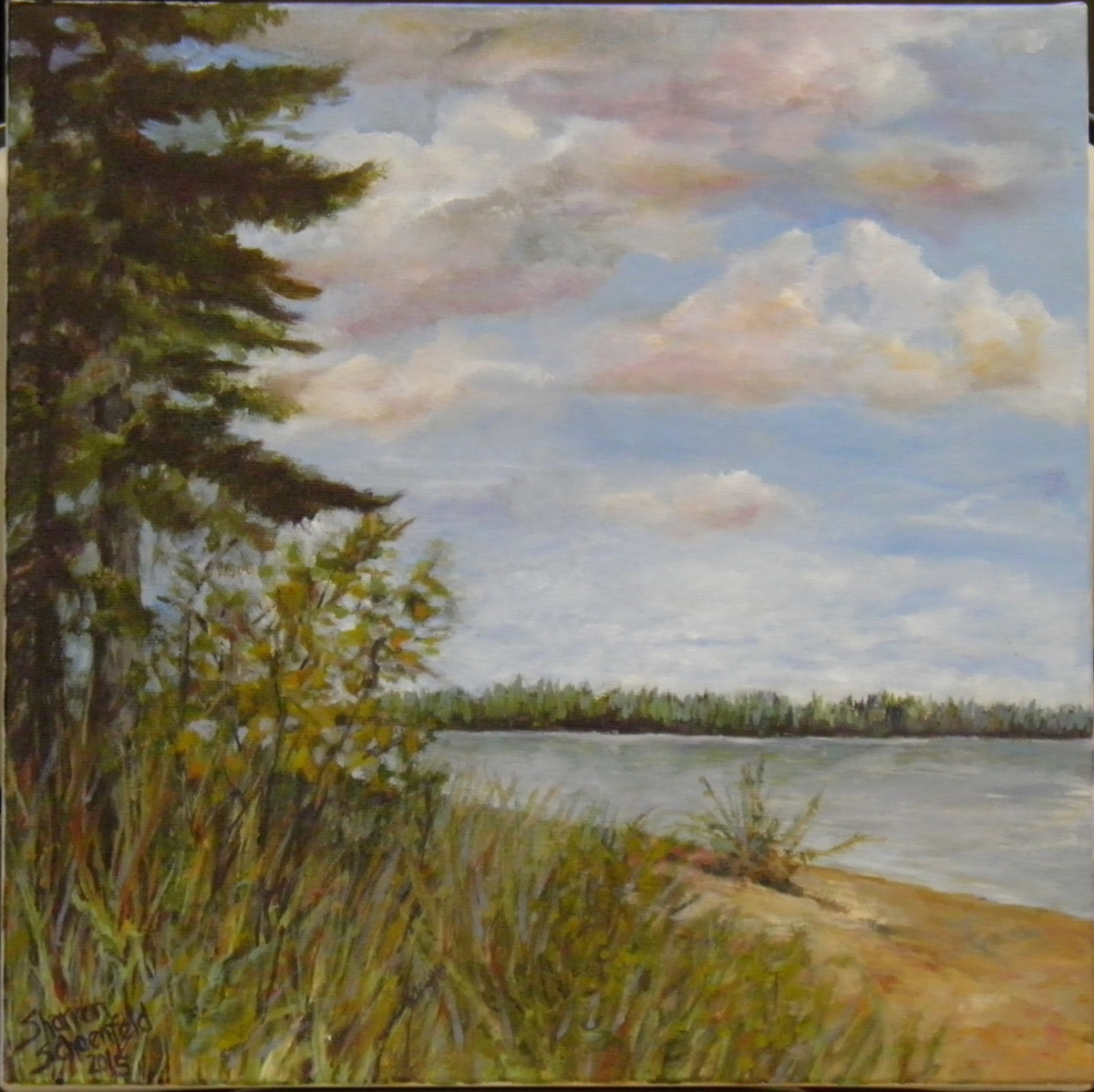 Canoe Beach by Sharron Schoenfeld 