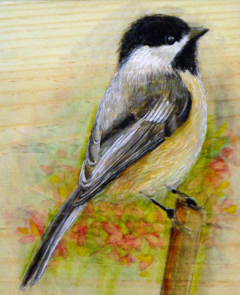 Chickadee 2 by Sharron Schoenfeld 