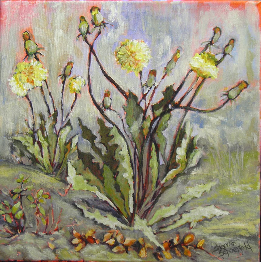 Dandelion by Sharron Schoenfeld, Image 1.