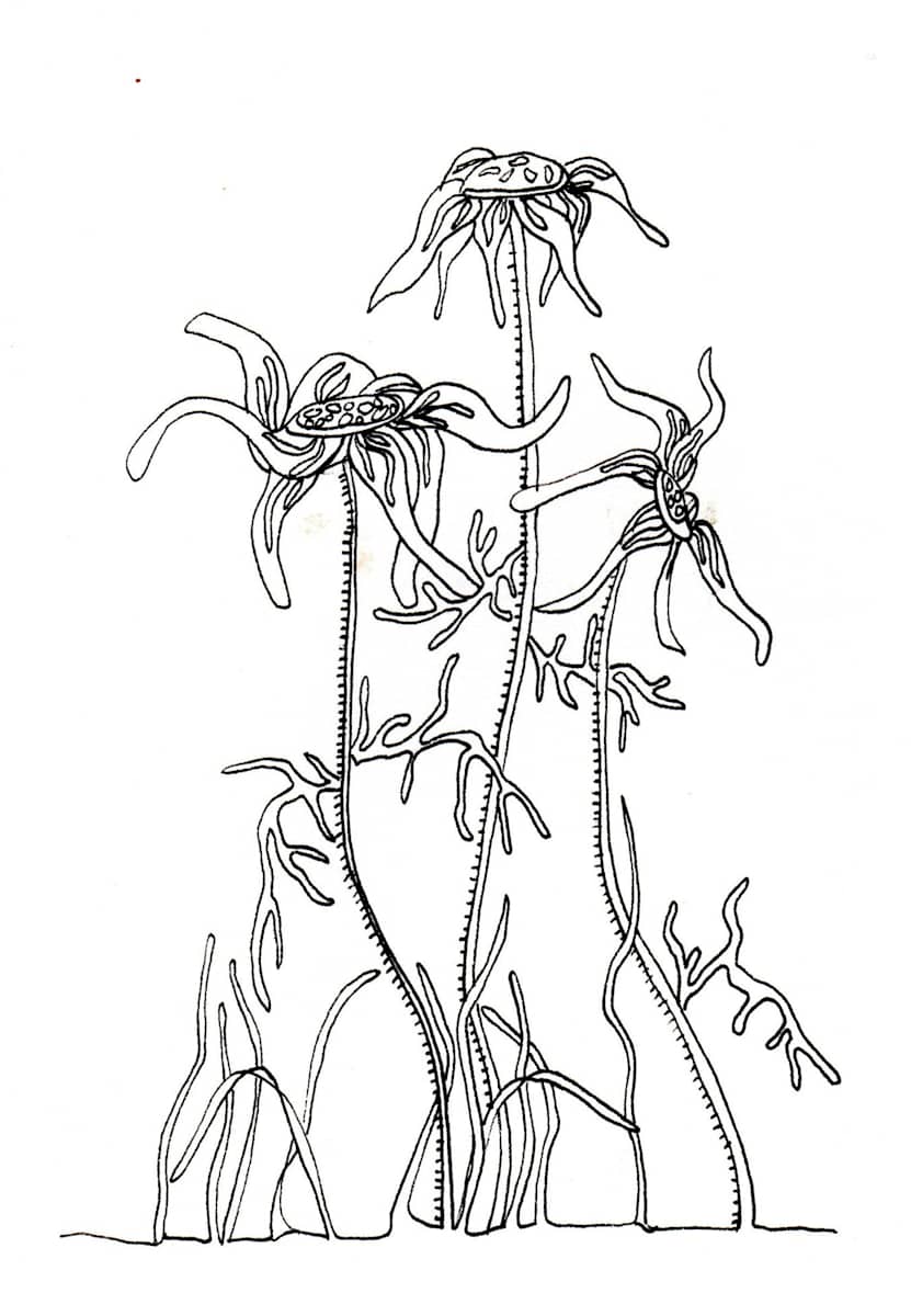 Harmonious by Sharron Schoenfeld, Image 1.