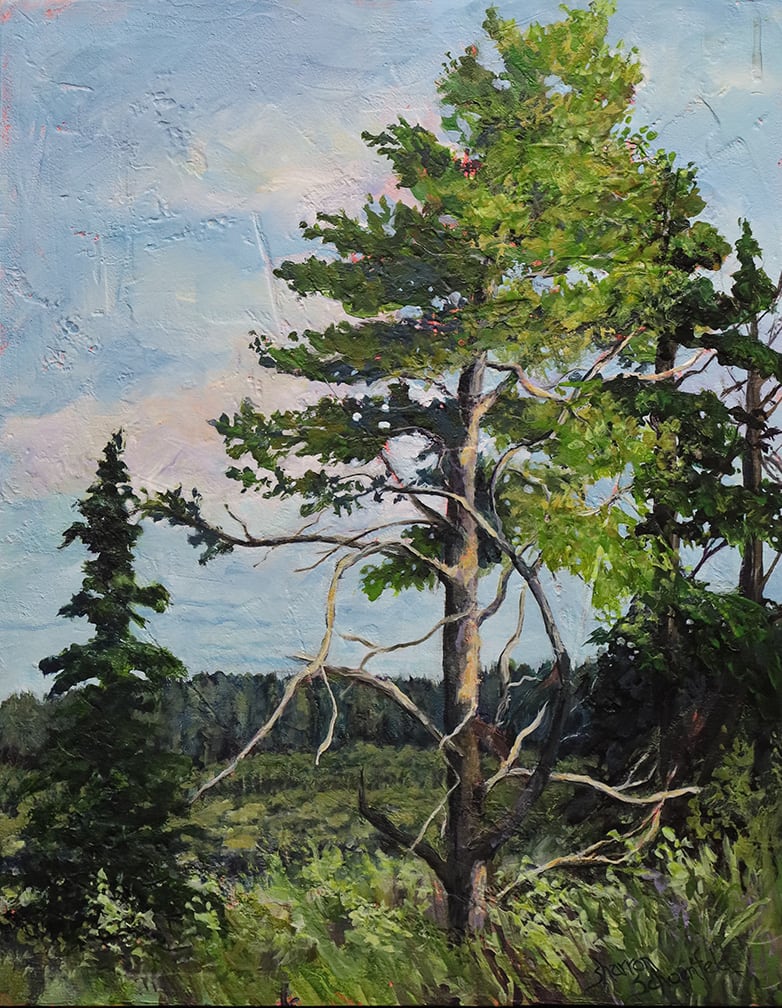 Lookout Point Cypress Hills by Sharron Schoenfeld 