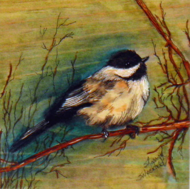 Chickadee by Sharron Schoenfeld 