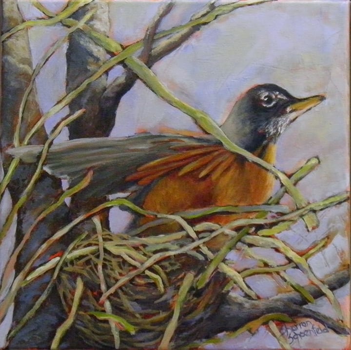 Robin by Sharron Schoenfeld 