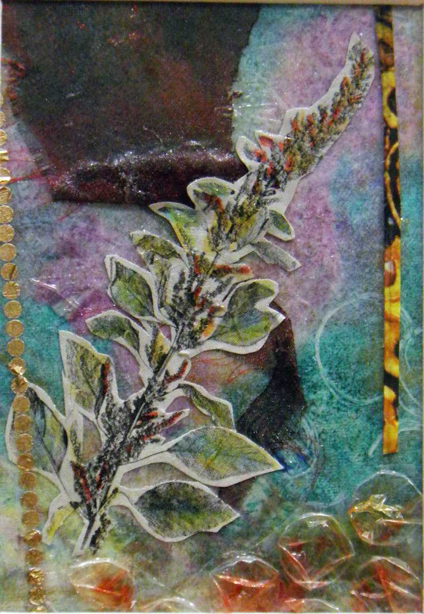 Sprig, Image 1.