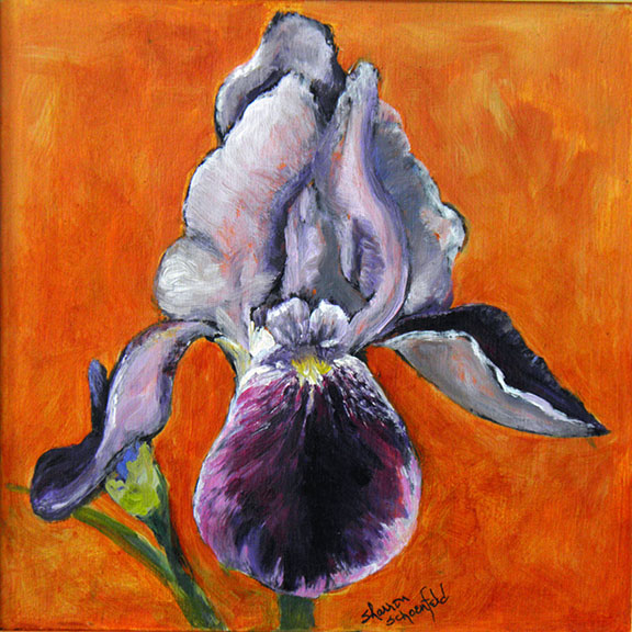 Bearded Iris by Sharron Schoenfeld 