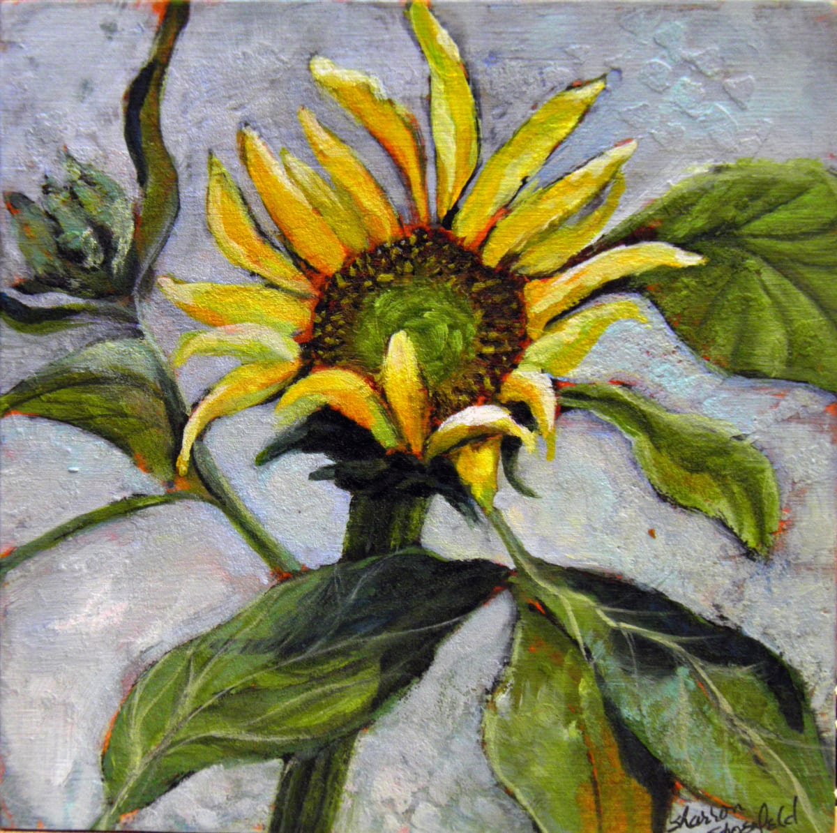 Sunflower at Celeste's by Sharron Schoenfeld 