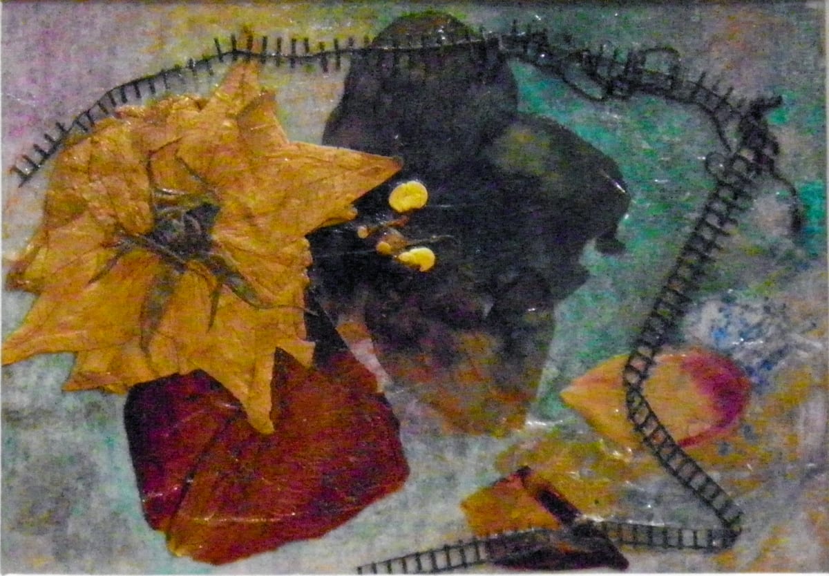 Trail by Sharron Schoenfeld 