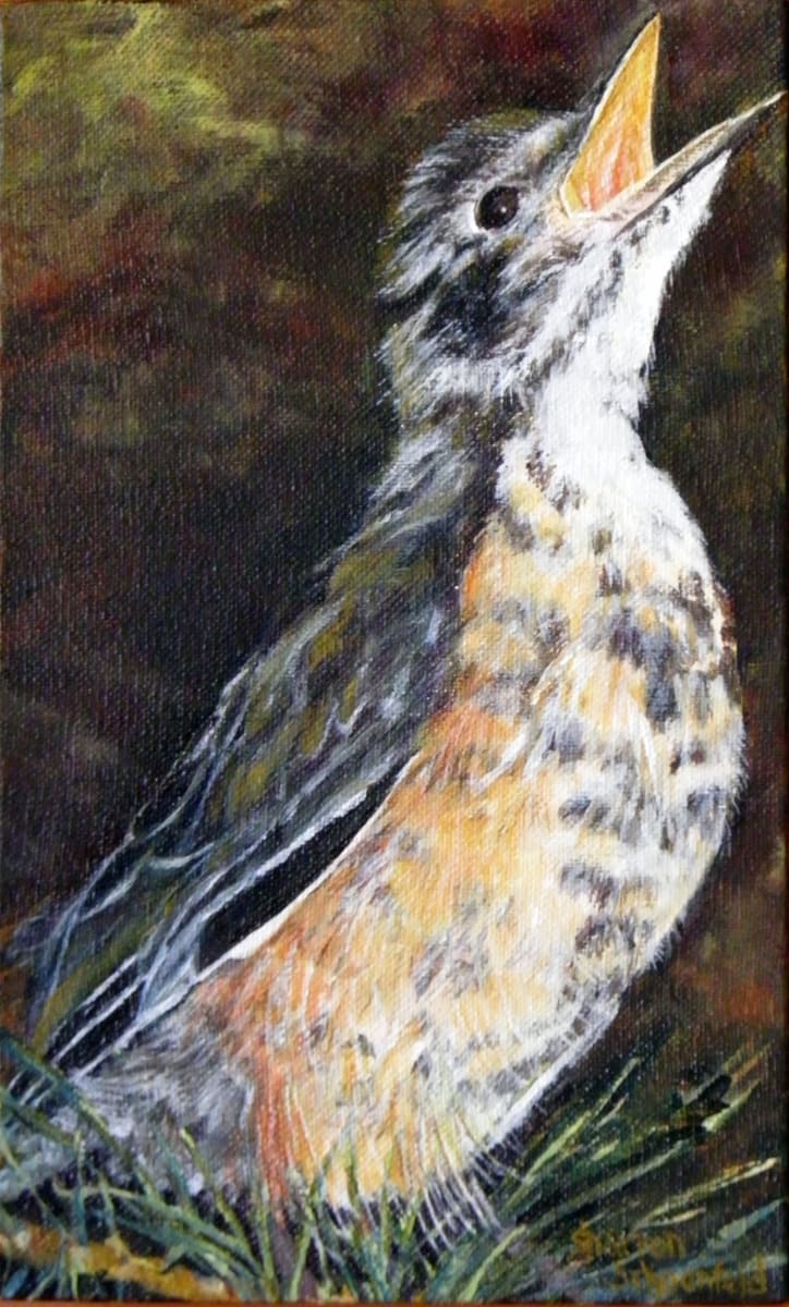 Young Robin by Sharron Schoenfeld, Image 1.