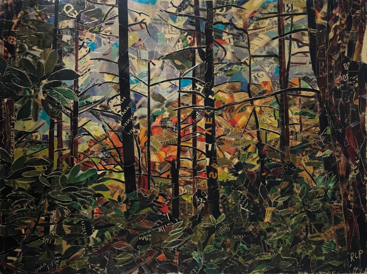 Trillium Gap Trees by Randy L Purcell 