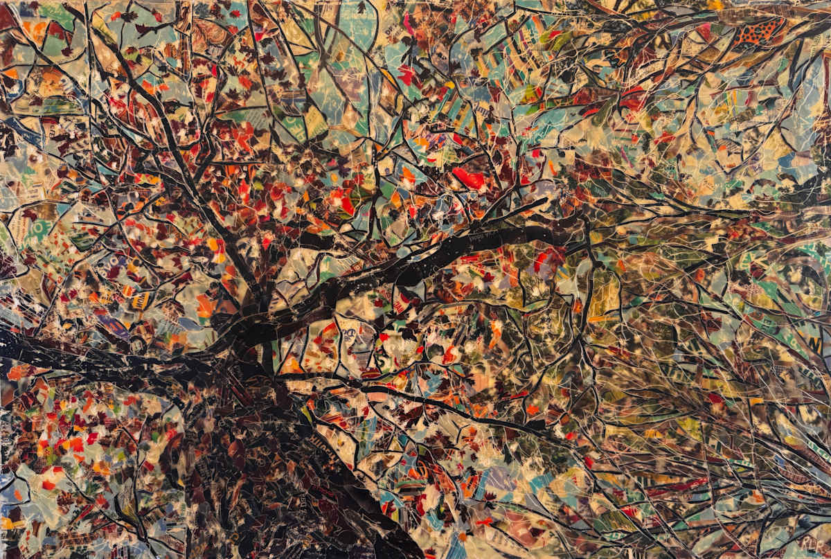 Seasons by Randy L Purcell 