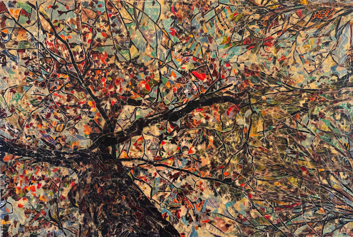 Seasons by Randy L Purcell, Image 1.