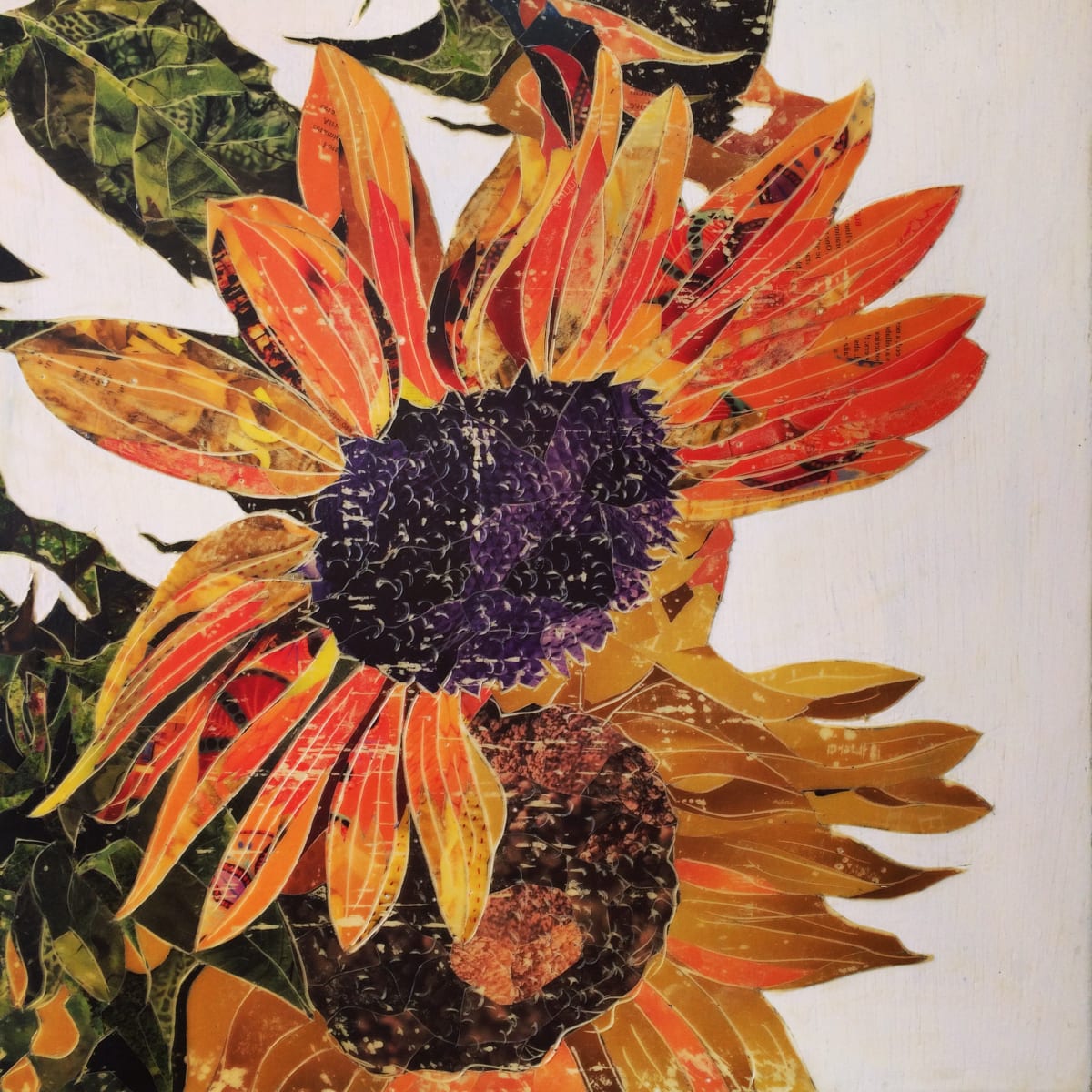 Seed Spot by Randy L Purcell, Image 1.
