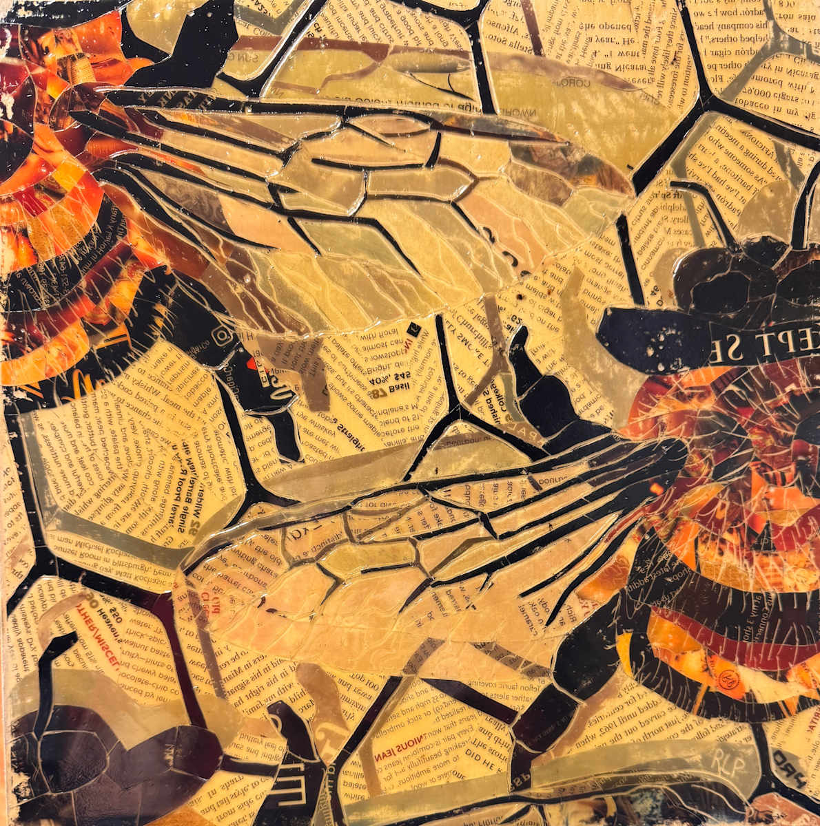 Multi-Bee 01 by Randy L Purcell, Image 1.