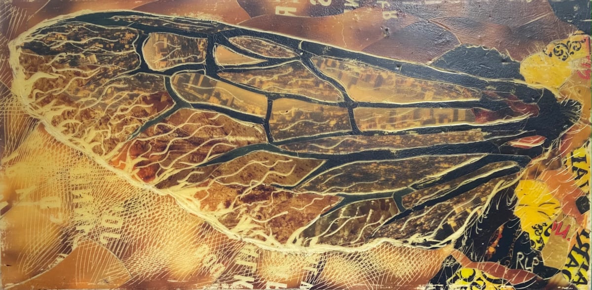 Bee Wing #14, Image 1.