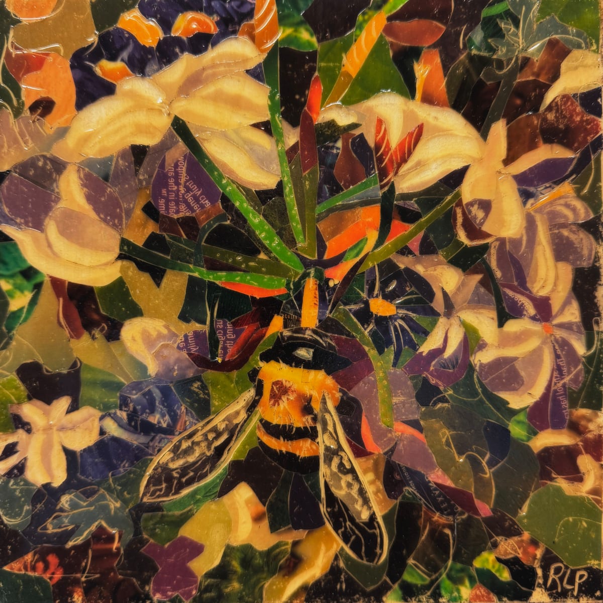 Grace in Bloom by Randy L Purcell 