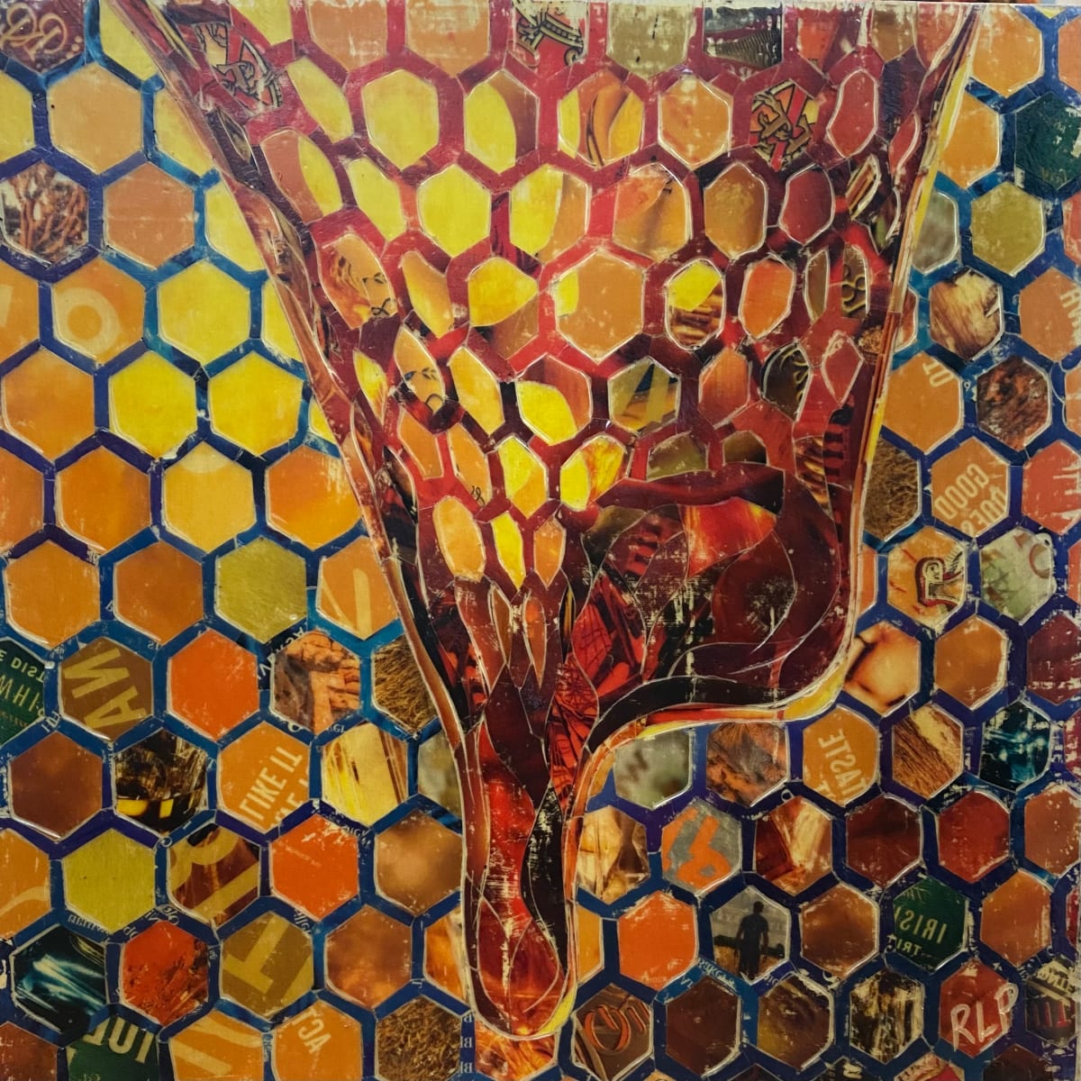 The Honey Drip by Randy L Purcell 