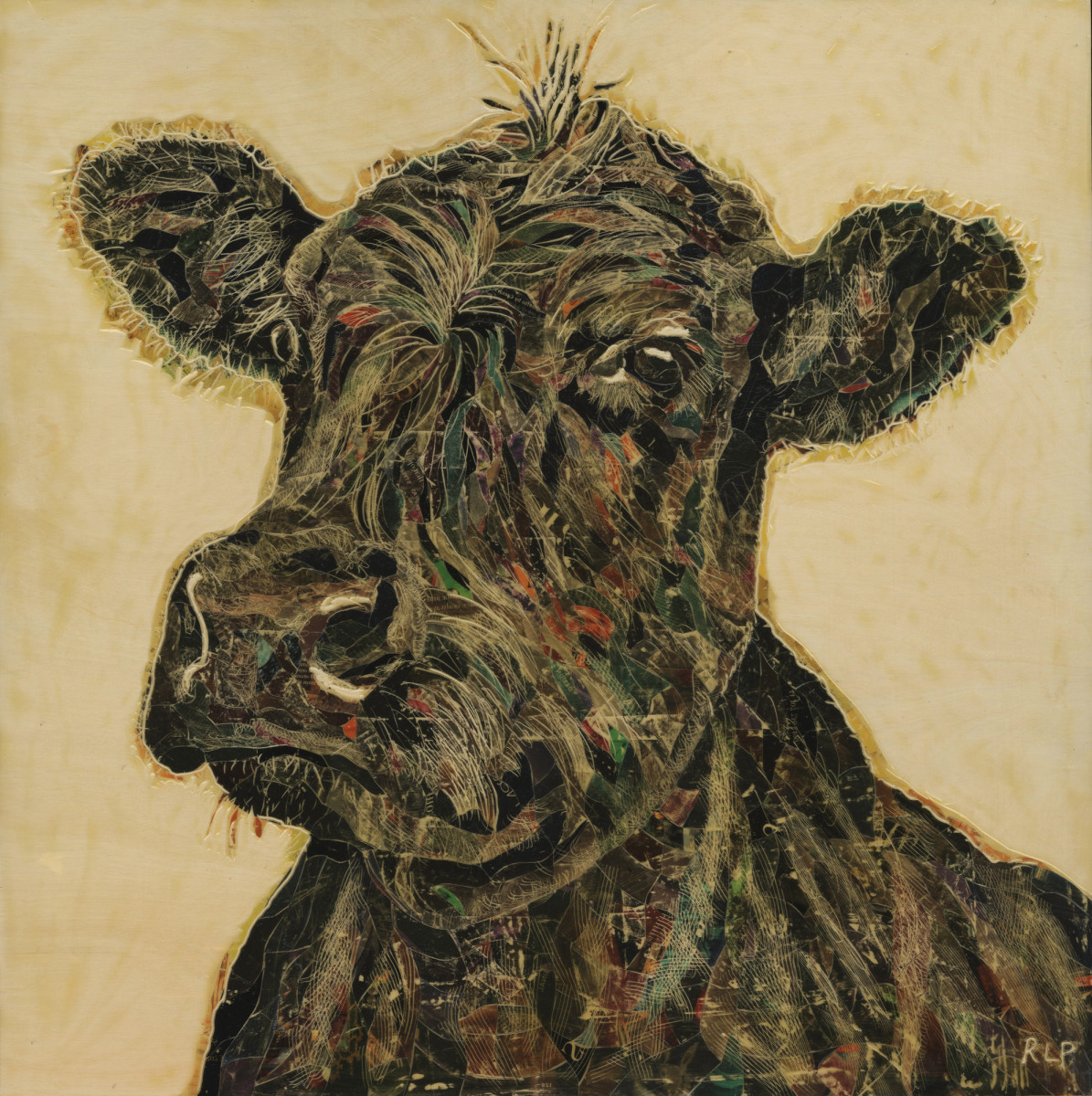 Holy Cow by Randy L Purcell 