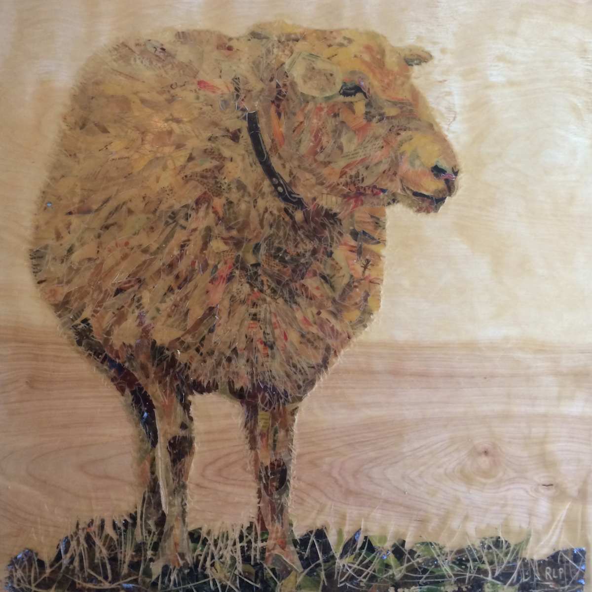 "A Sheep Named Notch" by Randy L Purcell, Image 1.