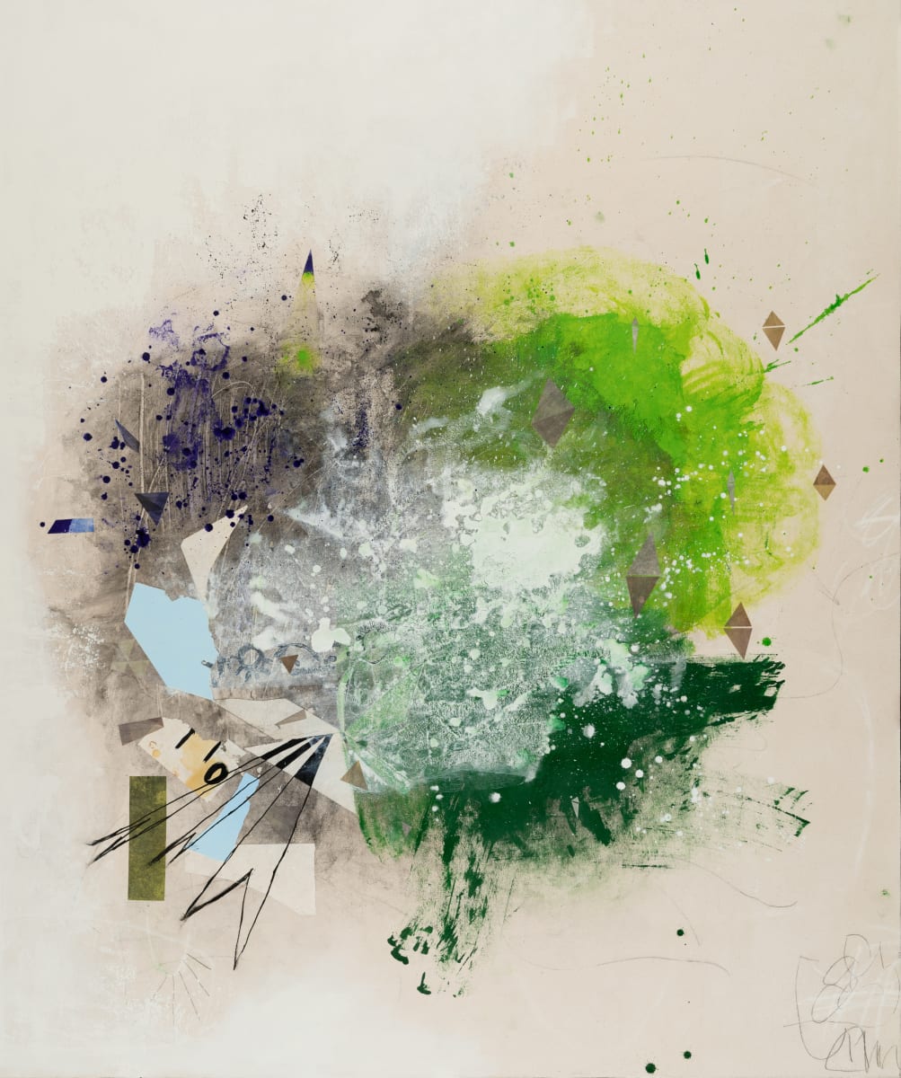 FALCON 1 by Laura Letchinger 