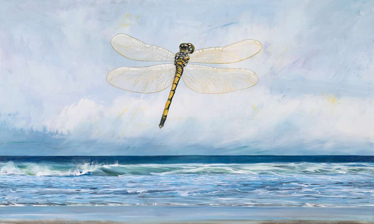 OUT OF THE BLUE by Laura Letchinger, Image 1.