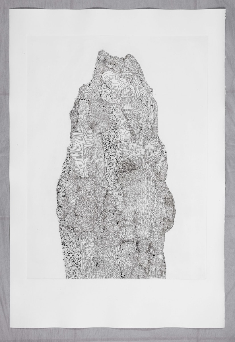 Kimberley Termite Mound 