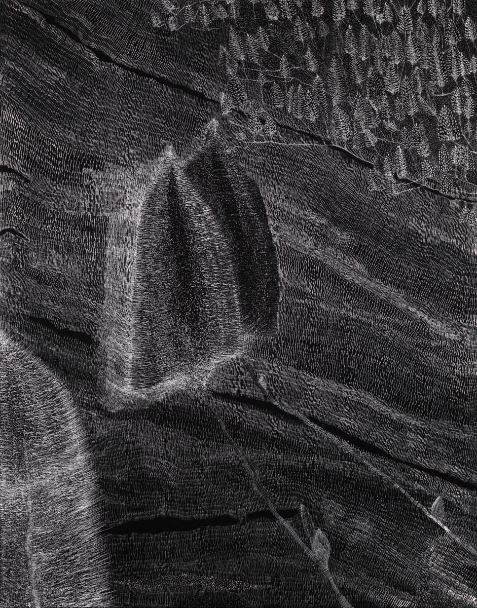 Mulla Mulla by Katie Breckon 