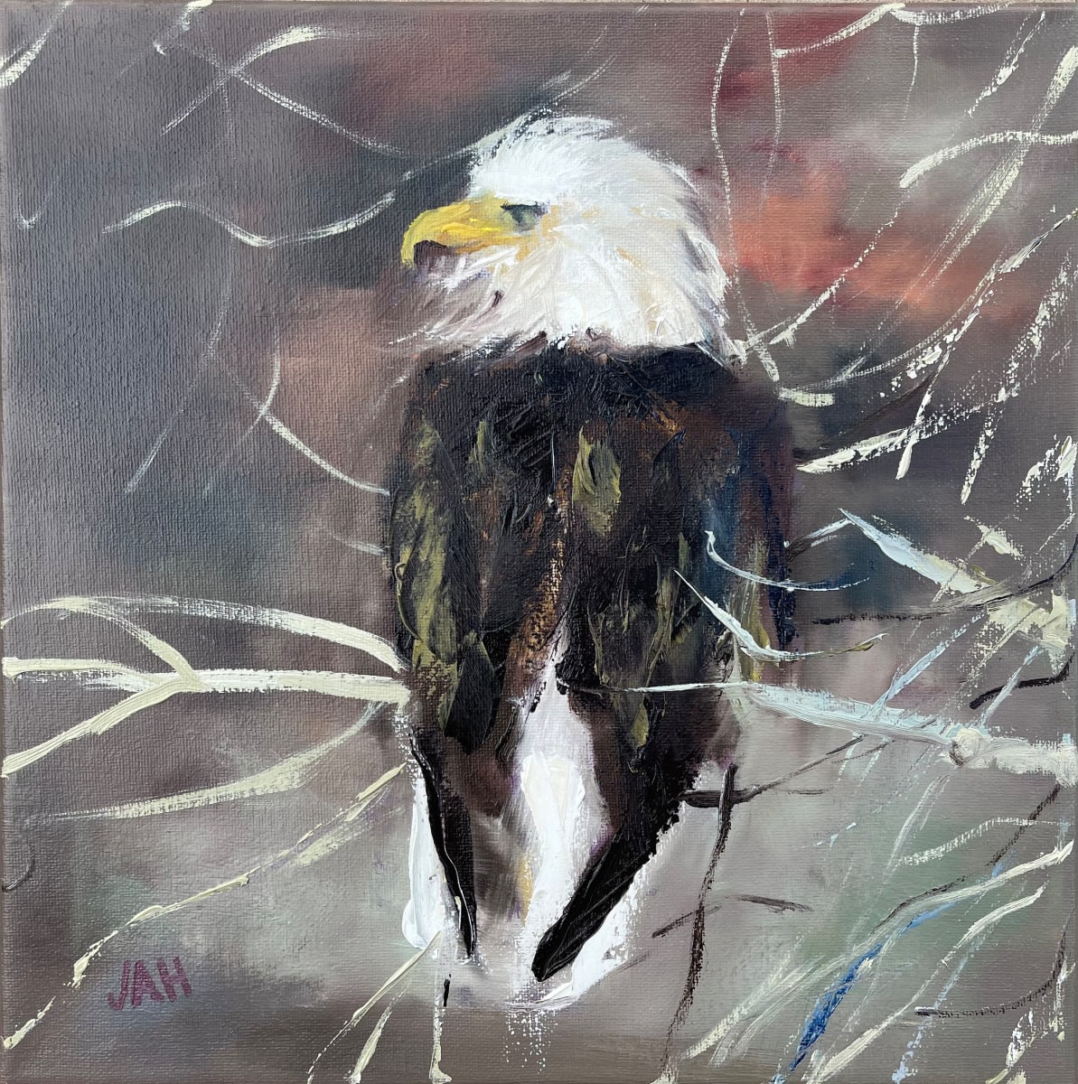 Hans's Bald Eagle 