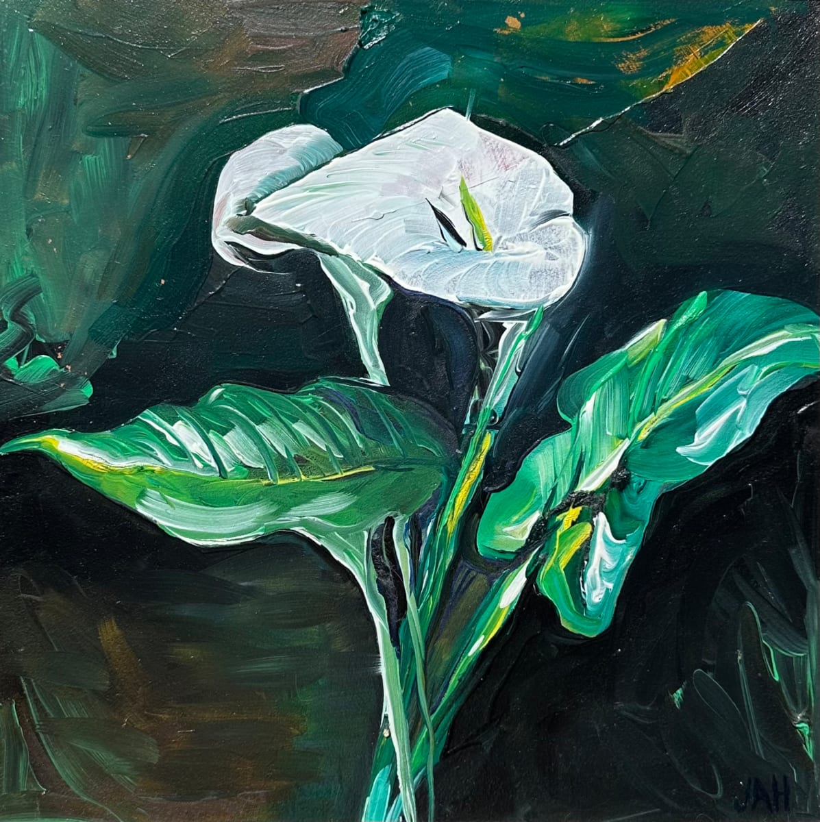 Calla Lilly by Judith Hutcheson 