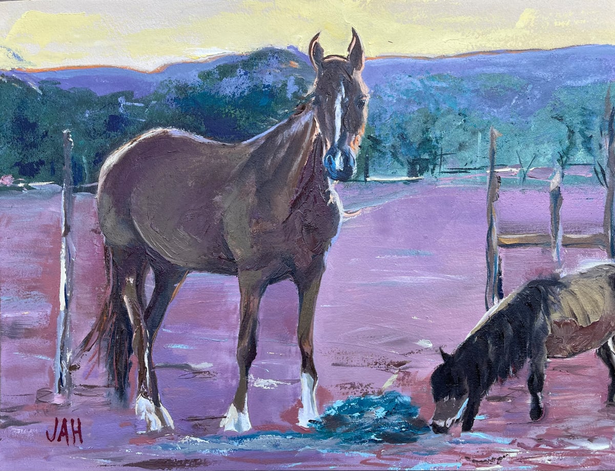 Kaibab Sunset by Judith Hutcheson 