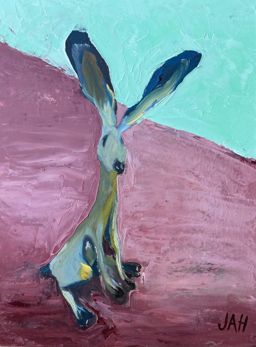 Desert Hare, Image 1.