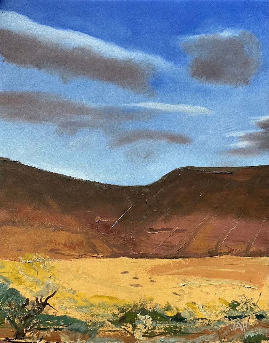 Desert Grass by Judith Hutcheson 