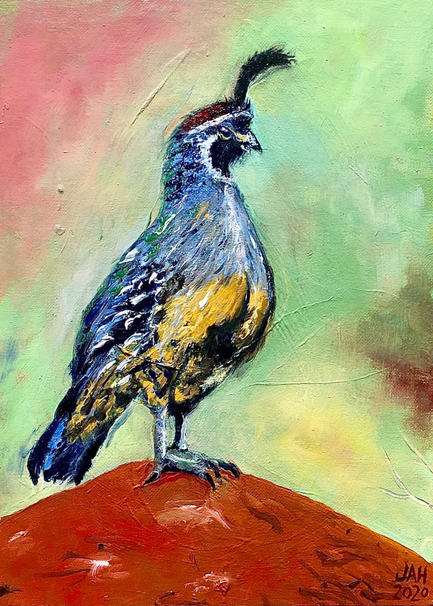 Quail by Judith Hutcheson 