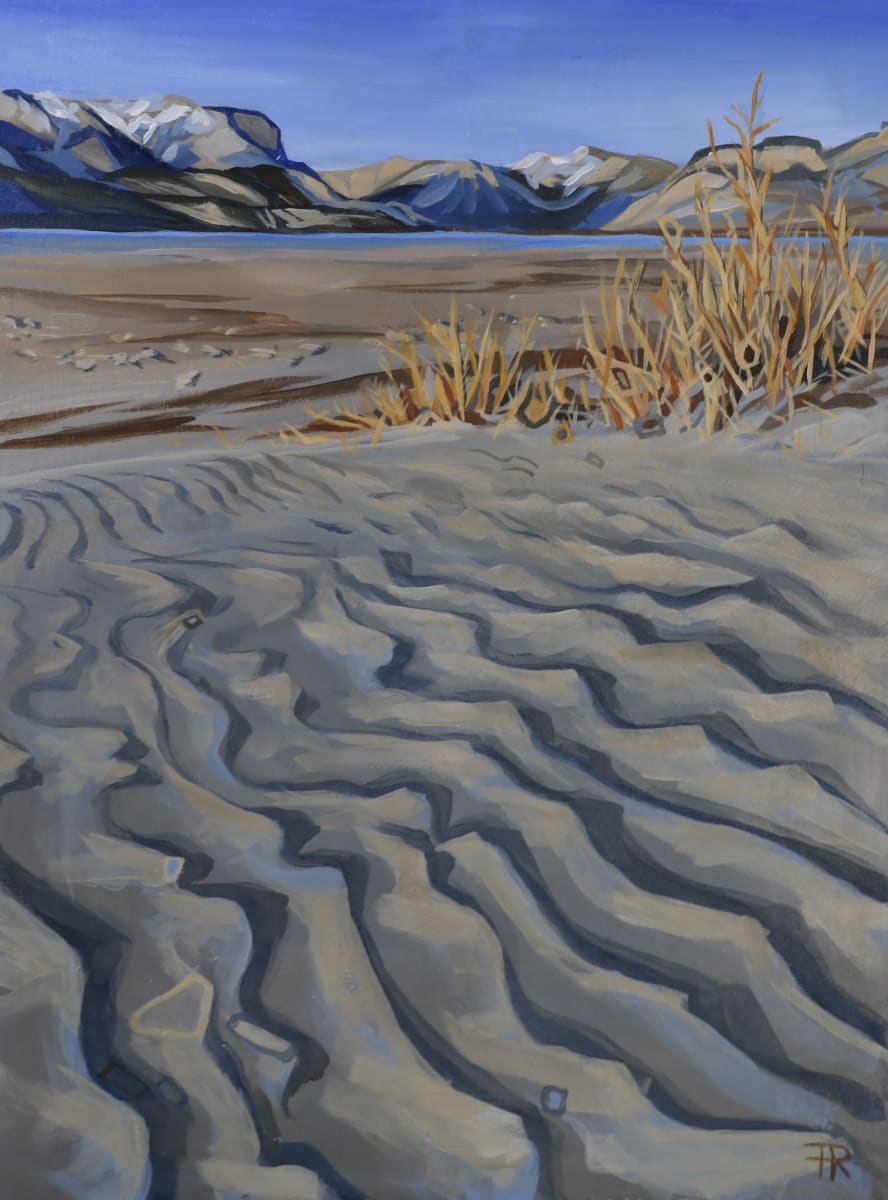 Jasper Lake Sand Waves by Pascale Robinson 